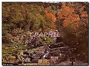 Carte Postale Ancienne Flume Cascade Crawford Notch