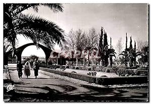 Carte Postale Ancienne Oujda Entrée de Parc Municipal