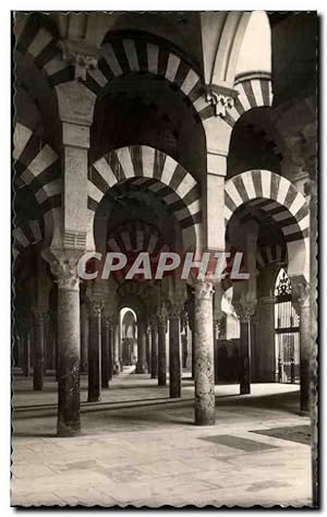 Carte Postale Ancienne Cordoba Mezquita Catedral Columnas