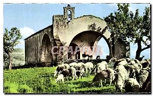 Carte Postale Semi Moderne La Provence Une Vielle Chapelle Moutons