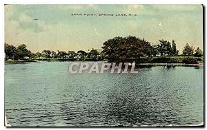 Carte Postale Ancienne Swan Point Spring Lake