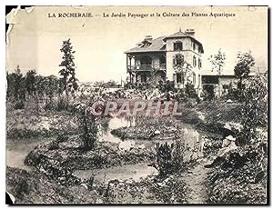 Carte Postale Ancienne La Rocheraie Le Jardin Paysager et la Culture des Plantes Aquatiques
