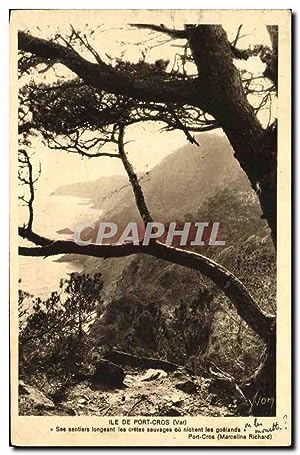 Carte Postale Ancienne île De Port Cros See Sentiers Longeant les cretes sauvages