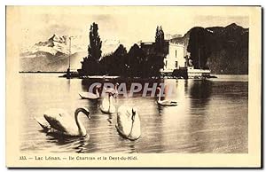 Carte Postale Ancienne Lac Leman île Chartran et la Dent du Midi Cygnes