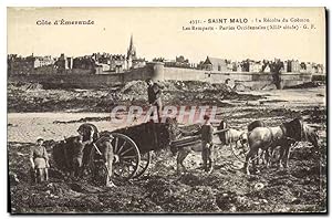 Carte Postale Ancienne Saint Malo La Recolte du Goemon Les remparts Parties occidentales TOP