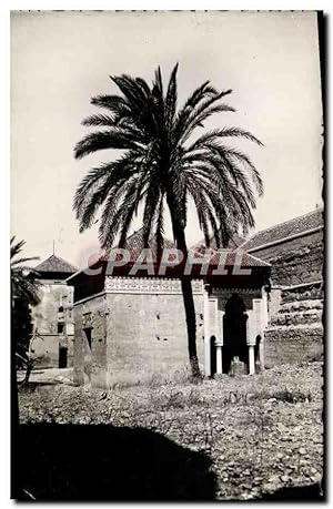 Carte Postale Ancienne Marrakech