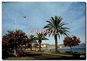 Carte Postale Moderne Charmes Et Couleurs De La Corse Ajaccio Le boulevard Lantivy avec ses palmi...