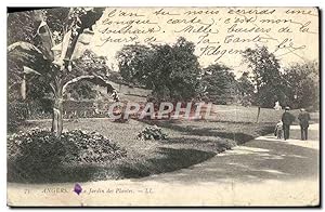 Carte Postale Ancienne Angers Le jardin Des Plantes