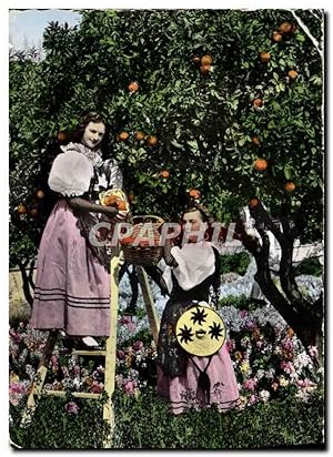 Carte Postale Moderne Cote D'Azur La cueillette des oranges par des jeunes filles en costume folk...