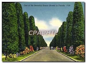 Carte Postale Ancienne One Of The Beautiful Scenic Streets In Florida