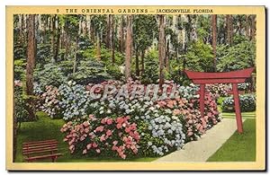 Carte Postale Ancienne The Oriental Gardens Jacksonville Florida