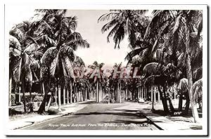 Carte Postale Ancienne Royal Palm avenue From The Bridge Palm Beach Fla