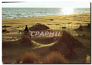 Carte Postale Moderne Contre Jour Et Cavalier Dans Les Dunes Cheval