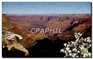 Carte Postale Moderne Grand Canyon National park Arizona