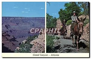 Carte Postale Moderne Grand Canyon Arizona Cheval