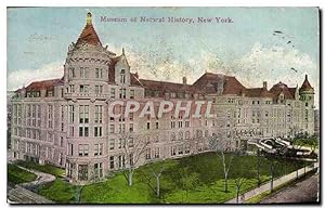 Carte Postale Ancienne Museum of Natural History New York