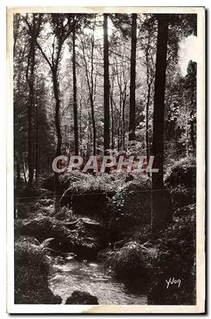 Carte Postale Ancienne Huelgoat La forêt Pres de la Mare Aux sangliers Sanglier