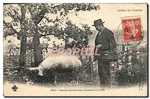 Carte Postale Ancienne Cochon Porc Folklore Groupe sympathique cherchant la truffe