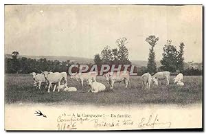 Carte Postale Ancienne Folklore En famille Vaches