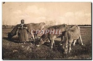 Carte Postale Ancienne Folklore Vaches