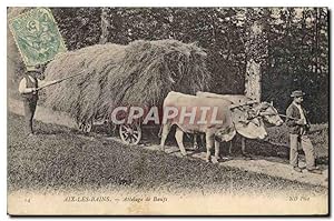 Carte Postale Ancienne Folklore Aix les Bains Attelage de Boeufs