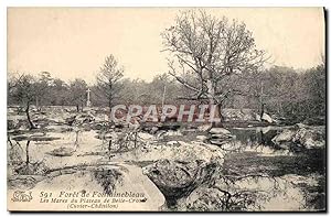 Carte Postale Ancienne forêt De Fontainebleau Les mares du plateau de Belle Croix Cuvier Chatillon