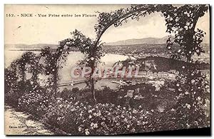 Carte Postale Ancienne Nice vue Prise Entre Les Fleurs