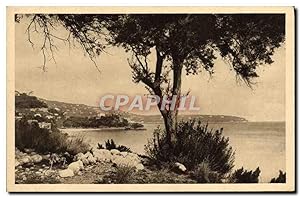Carte Postale Ancienne Monaco La littoral vers le Cap Martin