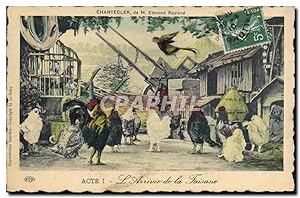 Carte Postale Ancienne Edmond Rostand Chantecler L'arrivee de la faisane