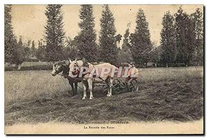 Carte Postale Ancienne Folklore Normandie La recollte des foins cheval