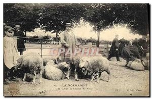 Carte Postale Ancienne Folklore Normandie Sur le champ de foire Moutons