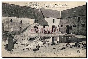 Carte Postale Ancienne Folklore Normandie Visite a la ferme La basse cour