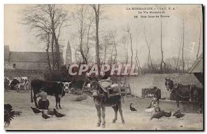 Carte Postale Ancienne Folklore Normandie Une cour de erme Ane Mule Vache Cheval