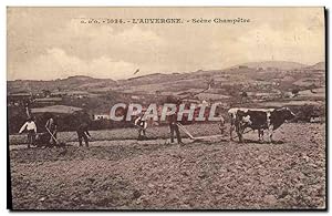 Carte Postale Ancienne Folklore Auvergne Attelage Scene champetre