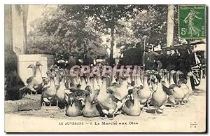 Carte Postale Ancienne Folklore Auvergne Le marche aux oies