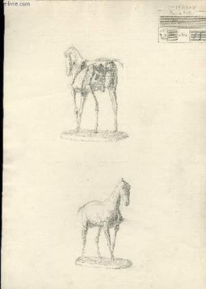 Une planche illustrée de 2 dessins originaux, de squelettes de chevaux, sur socles.
