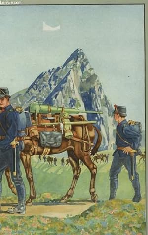 Gravure en couleurs d'un Transport sur Bêtes de Somme (Artillerie de Montagne)