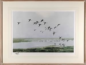 Pintails on a Hazy Day