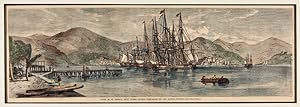 TOWN AND HARBOUR OF ST. THOMAS, WEST INDIES, LATELY PURCHASED BY THE UNITED STATES [caption title]