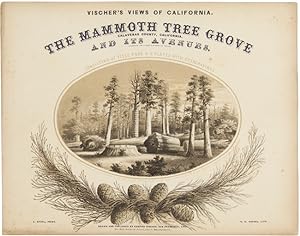 VISCHER'S VIEWS OF CALIFORNIA. THE MAMMOTH TREE GROVE, CALAVERAS COUNTY, CALIFORNIA. AND ITS AVENUES