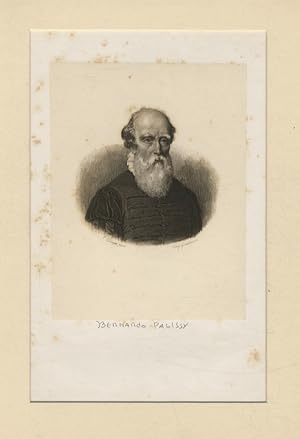 Bernardo Palissy. (Ritratto a mezzo busto, di 3/4 verso destra, con fluente barba bianca).