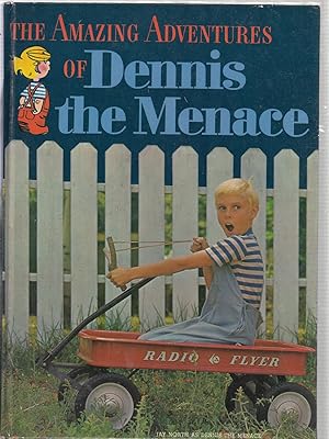 The Amazing Adventures of Dennis The Menace
