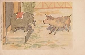 Miniature Elephant With Baby Pig Cute Comic Antique 1903 Postcard