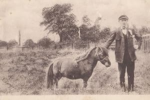 Pony Dick Guiness Book Of Records Smallest Ever Horse Animal Antique Postcard