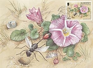 Sand Digger Wasp First Day Cover Stamp Guerney Limited Edition Insect Postcard