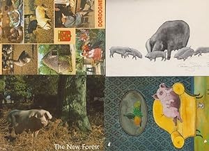 4x Pig Farm Farming Perigord The New Forest Cartoon Postcard s