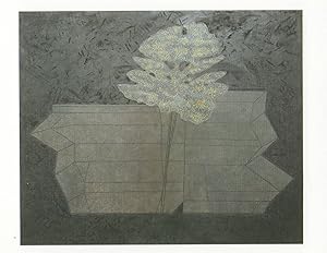Prunella Clough White False Flower London Camden Arts Painting Postcard