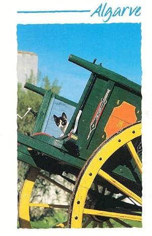 Cat In Algarve Portugal Gypsy Gipsy Fairground Style Caravan Trailer Postcard