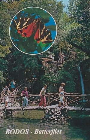 Rodos Rhodes Greek Batterflies Butterflies Postcard
