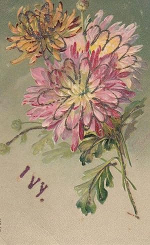 The Name IVY Romance Rose Flower Greetings REAL GLITTER ANTIQUE Postcard